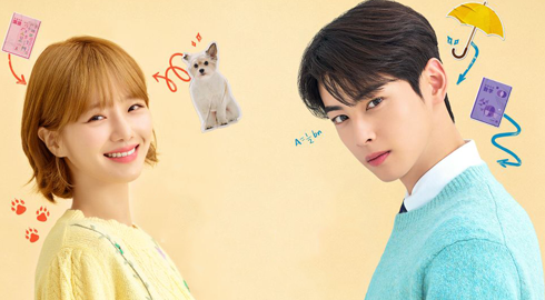 韓国語 字幕翻訳